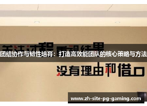 团结协作与韧性培育：打造高效能团队的核心策略与方法