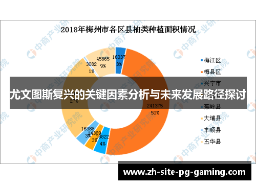 尤文图斯复兴的关键因素分析与未来发展路径探讨 尤文图斯复兴的关键因素分析与未来发展路径探讨