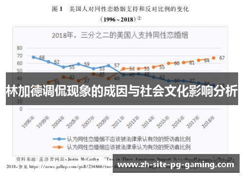 林加德调侃现象的成因与社会文化影响分析